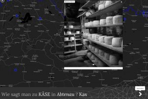 GeRDI Research Community: VERBA ALPINA - Screenshot of a online questionaire