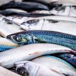 GeRDI Research Community: Enviromental, Resource and Ecological Economics at CAU Kiel - Fresh fish