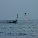 Publication: Integrated search and analysis of multidisciplinary marine data with GeRDI